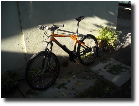 Bici Andres 3